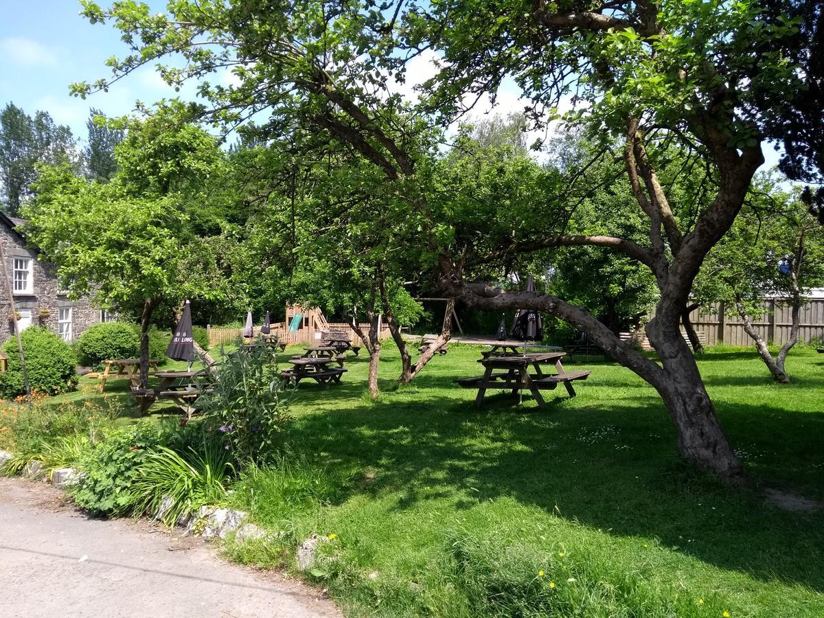 Llanerch Inn لاندريندود ويلز المظهر الخارجي الصورة