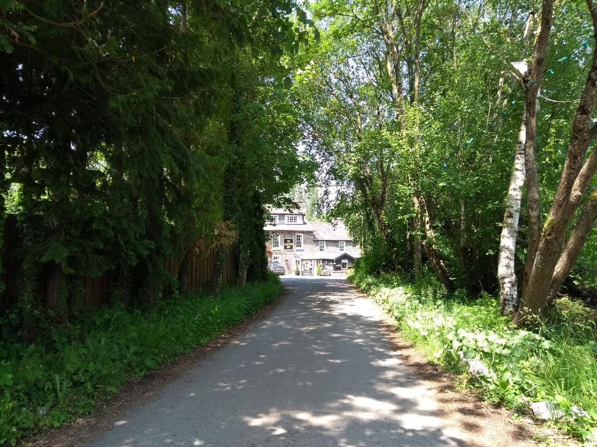 Llanerch Inn لاندريندود ويلز المظهر الخارجي الصورة